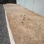 Les Trois Charmes * Gouvy